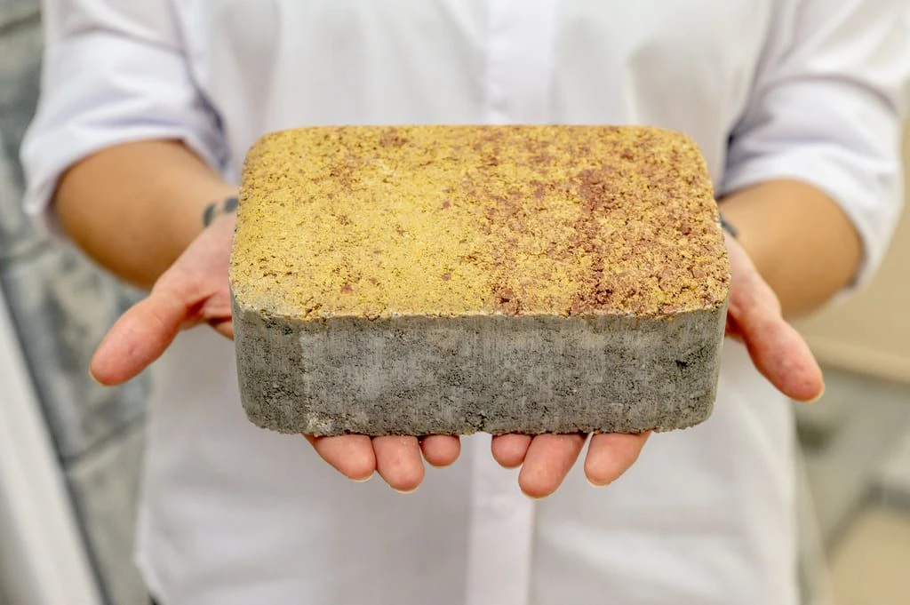 Тротуарная плитка завода «Поревит» porevit-2 (5).jpg