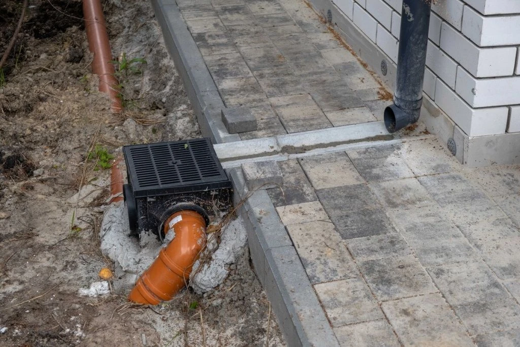 DSCF9828-min.jpg DSCF9828-min.jpg