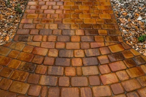 Тротуарная плитка Классико Б.1.КО.6 гладкий листопад, осень