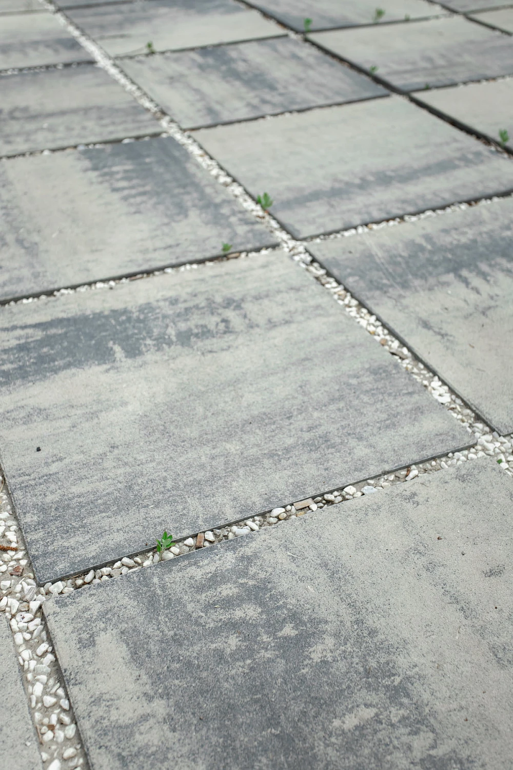 Благоустройство коттеджа в Перевалово, Чистые пруды