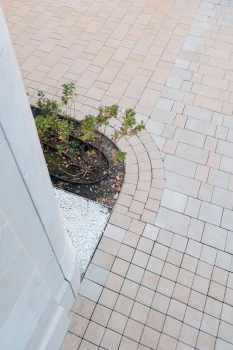 Купите квадратную тротуарную плитку от производителя компания «Выбор»