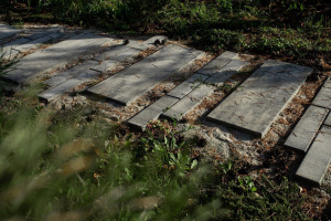 Купите прямоугольную тротуарную плитку от производителя «Выбор»