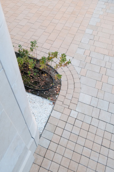 Купите квадратную тротуарную плитку от производителя компания «Выбор»