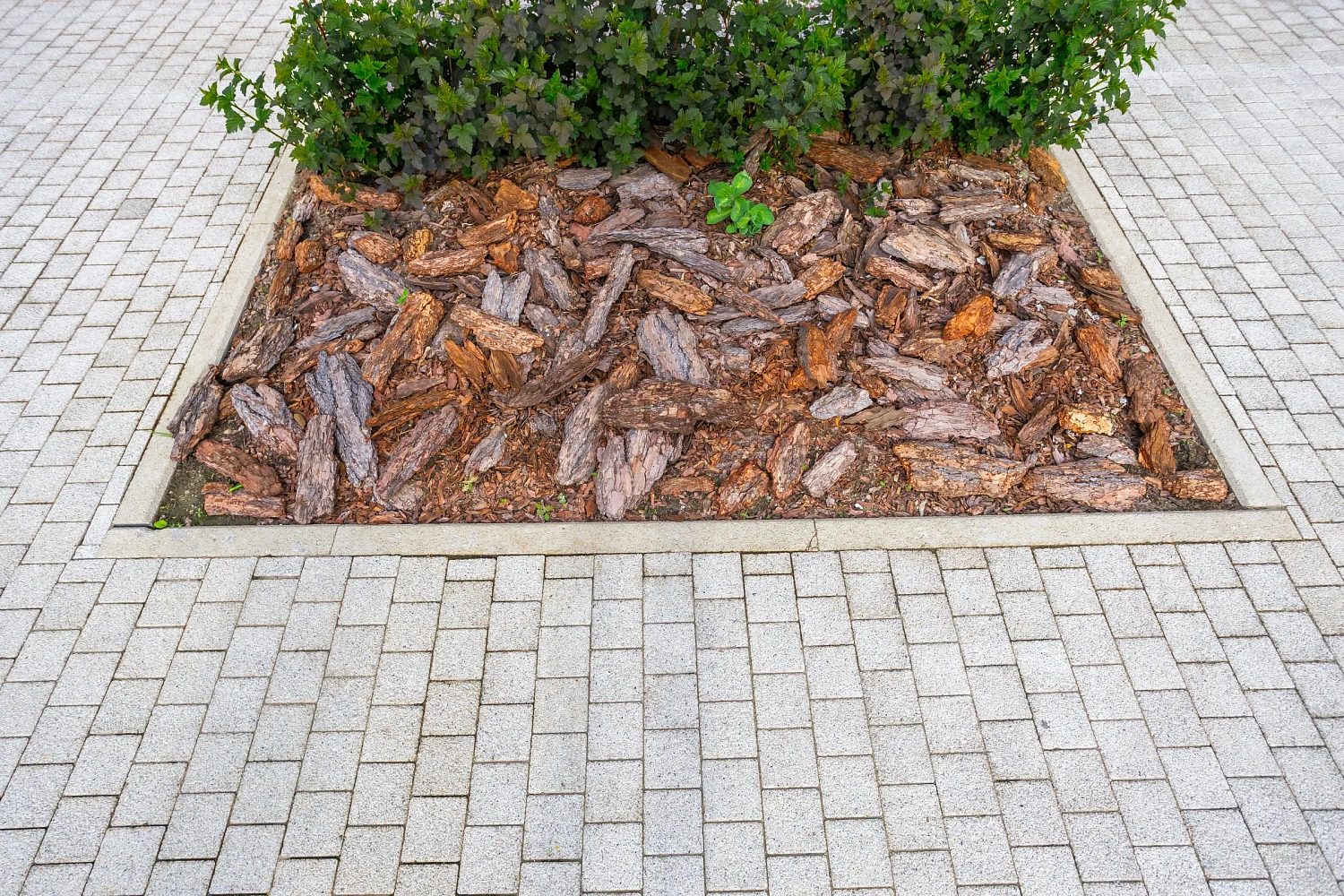 Жилой комплекс "Опера" в Тюмени