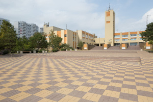 Купите тротуарную плитку Б.2.П.8 гладкая коричневая